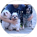 Invisalign aligners 38 Aien Jamir profile picture