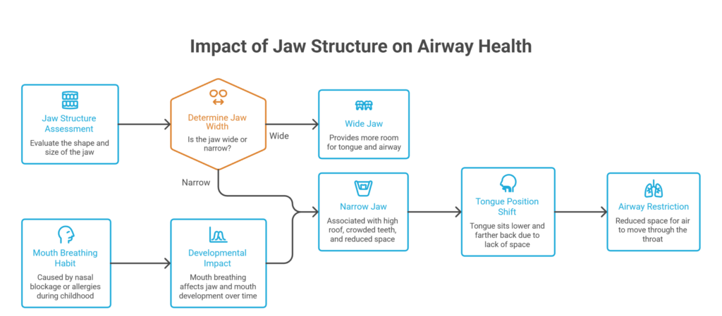 Waking Up Tired Why Your Jaw Alignment Might Be Affecting Your Sleep visual selection 1 scaled e1787560784342